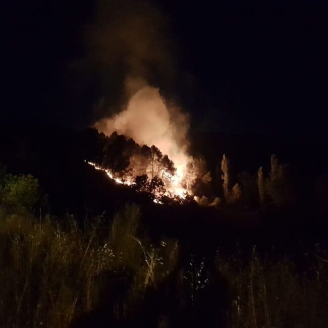 IMG_20170712_225933_685