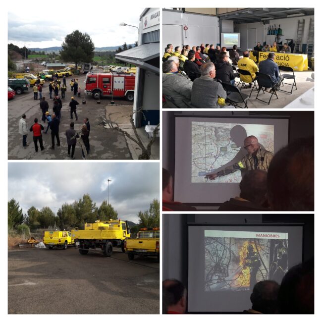 IMG-20190406-WA0004-COLLAGE