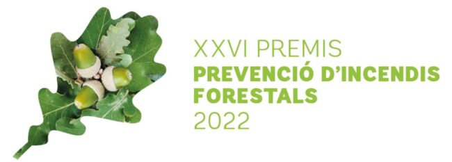 WhatsApp Image 2022-11-20 at 18.51.55