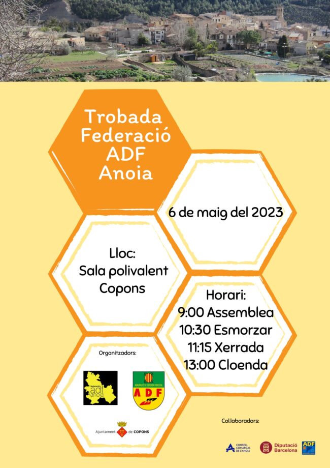Trobada federació 2023